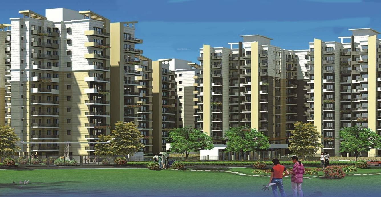  springdale Elevation