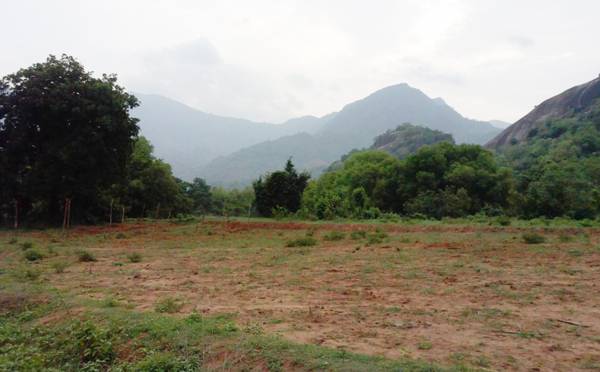 Images for Elevation of Kalidindi Sandal County