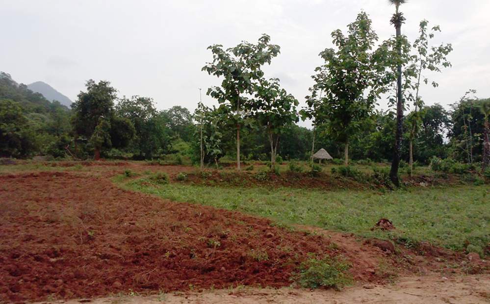 Images for Main Other of Kalidindi Sandal County