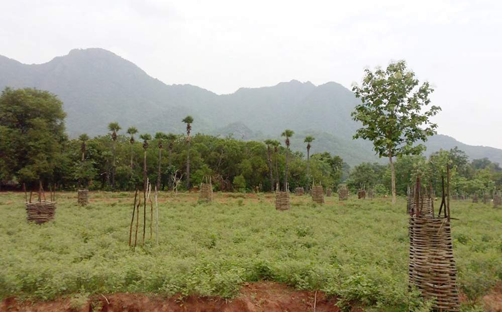 Images for Main Other of Kalidindi Sandal County