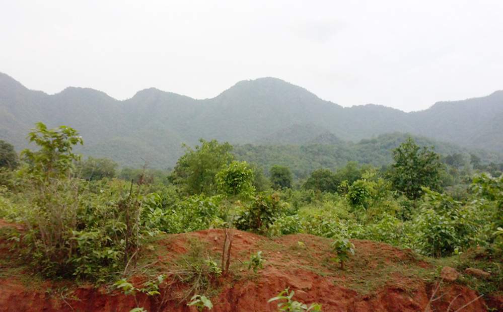 Images for Main Other of Kalidindi Sandal County