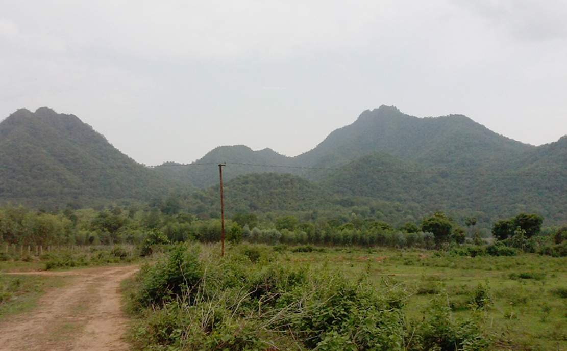 Images for Main Other of Kalidindi Sandal County