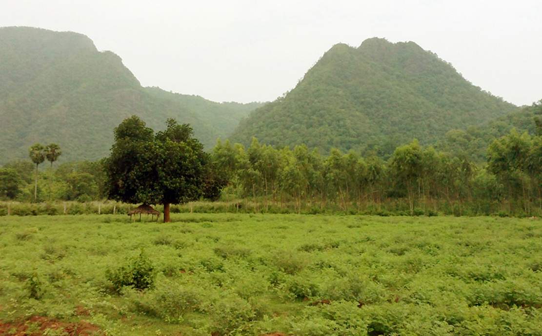 Images for Main Other of Kalidindi Sandal County