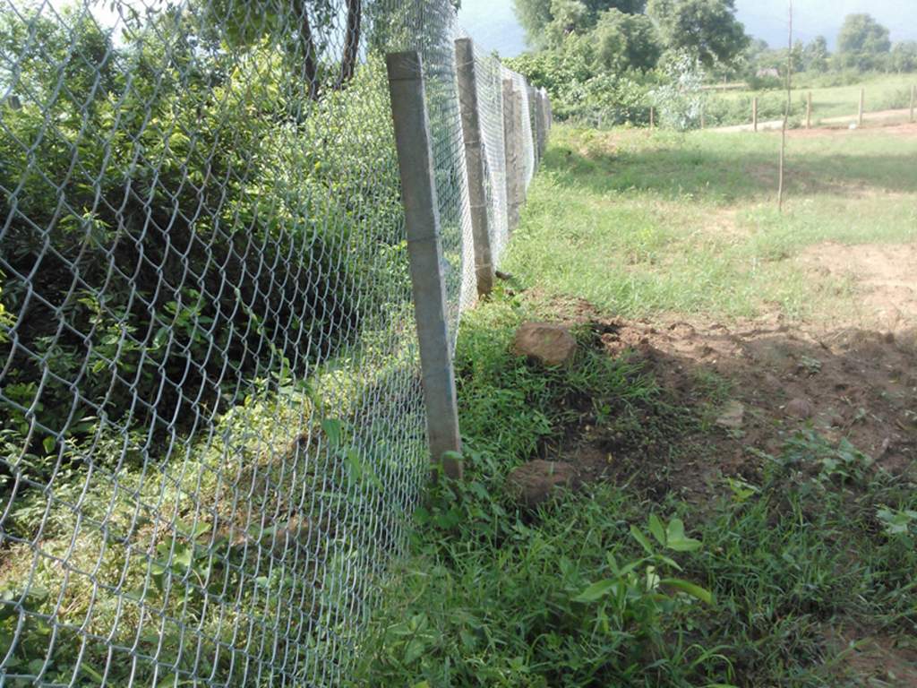 Images for Main Other of Kalidindi Sandal County