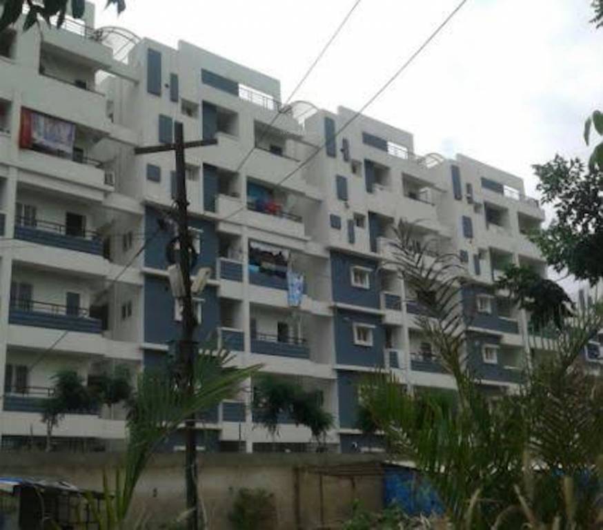  info pride Elevation