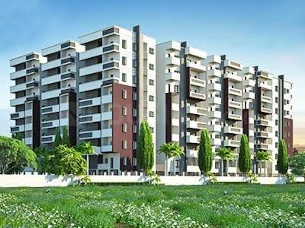  info pride Elevation