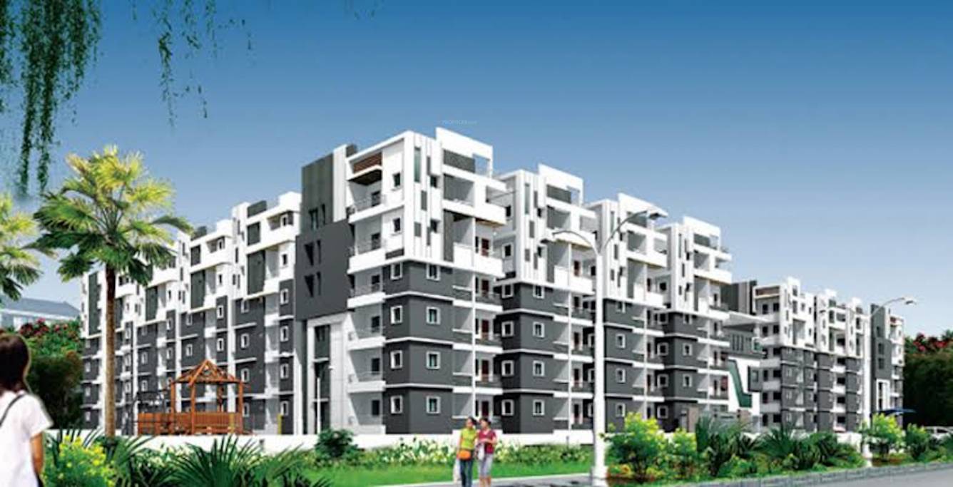  info pride Elevation