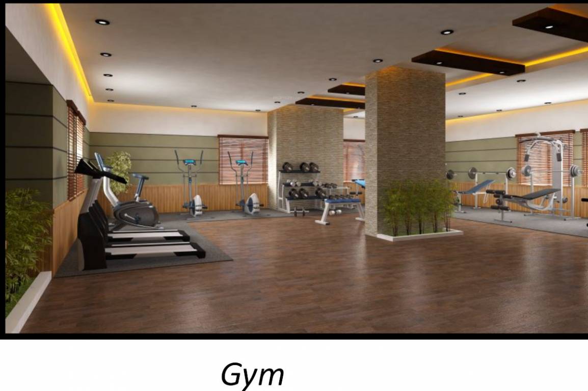  world Gymnasium