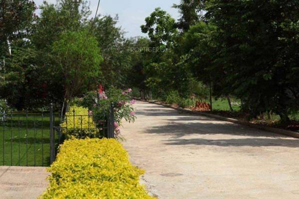 Images for Main Other of Samarkhand Sunny Brooks