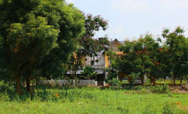 Images for Main Other of Samarkhand Sunny Brooks