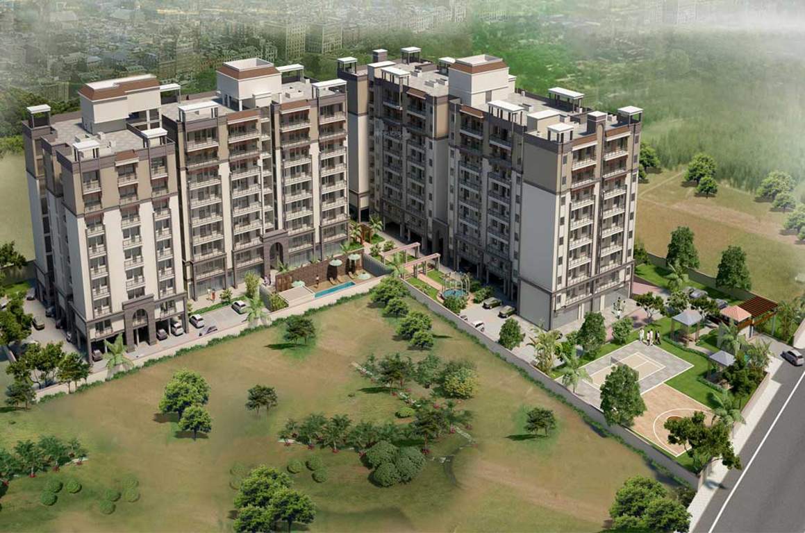 orchid Images for Elevation of Unique Orchid