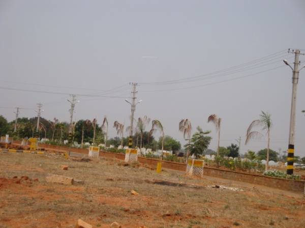 Elevation elite-county-iii Elevation