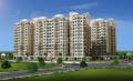 Anshul Group Kosmas
