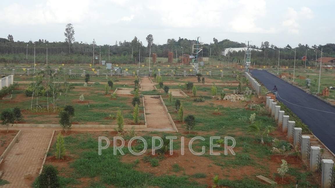 bhumi construction venus gateway Main Other