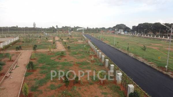 bhumi-construction venus-gateway Main Other