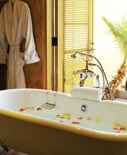  topaz Images for Main Other of Trans Topaz