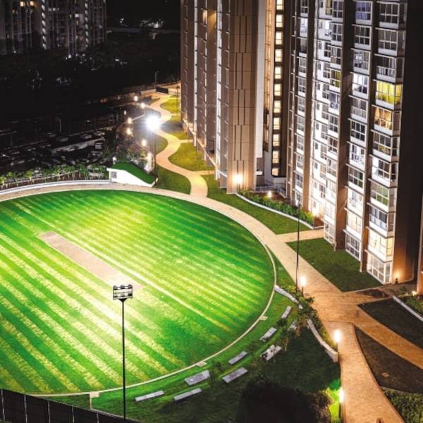 Elevation lily-at-runwal-forest Elevation