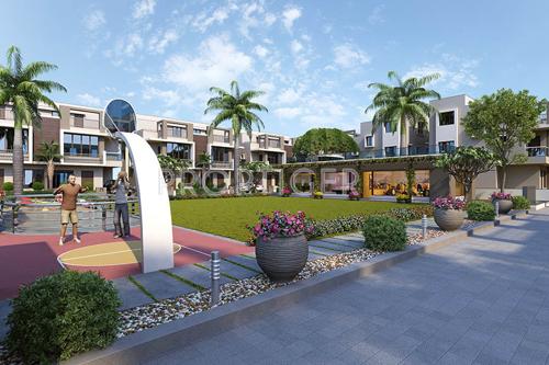  pineapple Images for Amenities of Shree Rang Pineapple