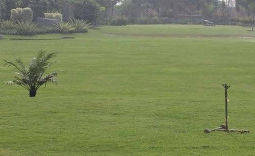  retreat-farms Others