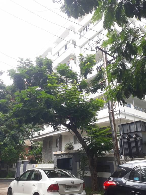  basil heights Elevation