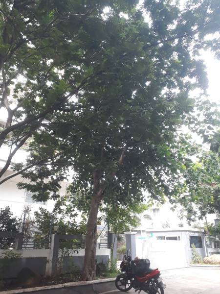  basil-heights Open Parking