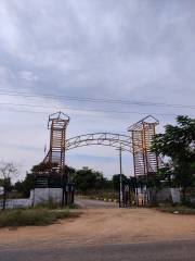 Project Image Project Image