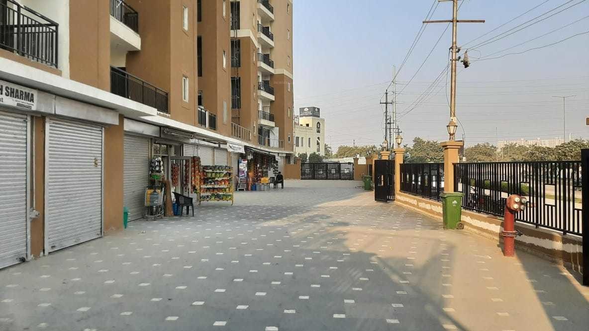 venetia heights Others