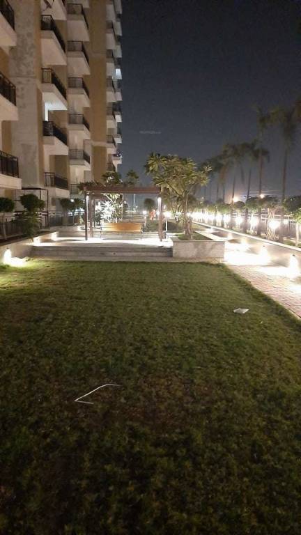 venetia heights Others