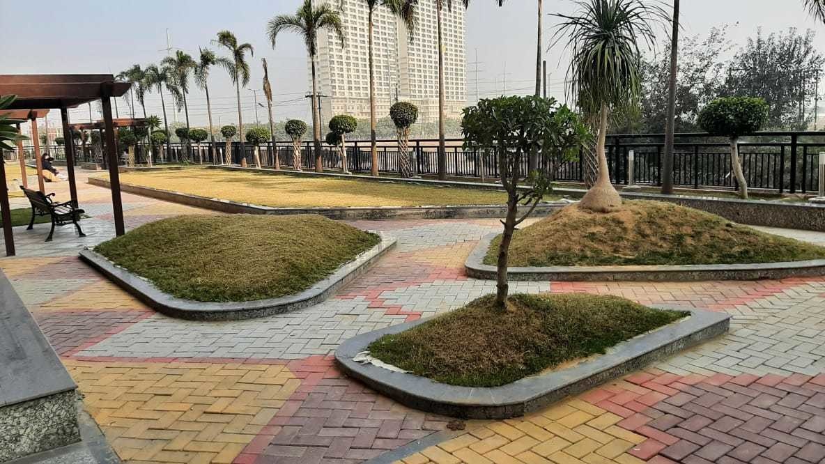 venetia heights Others