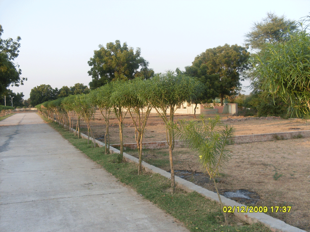 Images for Main Other of Shree Gayatri Realty Satyamev Chhavani VII