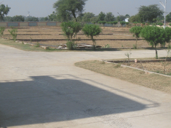 Images for Main Other of Shree Gayatri Realty Satyamev Chhavani VII