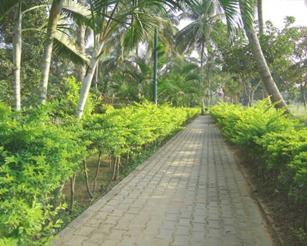 Images for Main Other of RS Royal Hermitage Images for Main Other of RS Royal Hermitage