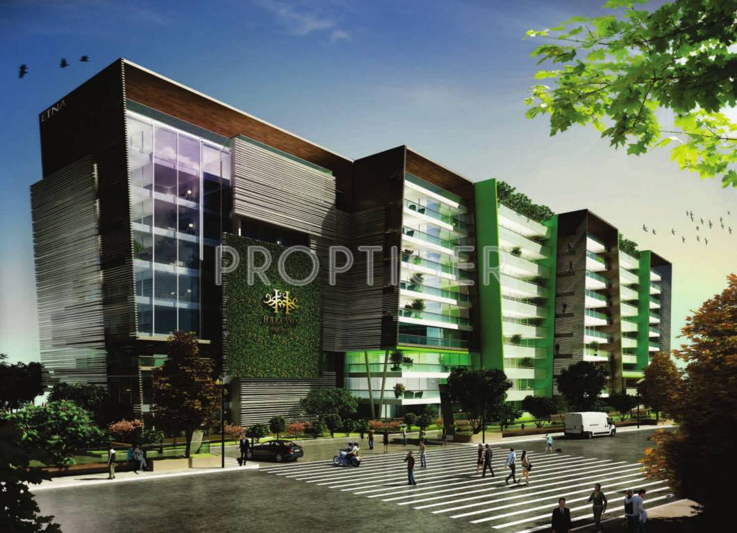 Images for Elevation of Phoenix Halcyon