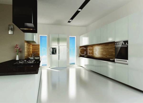 Images for Main Other of Phoenix Halcyon