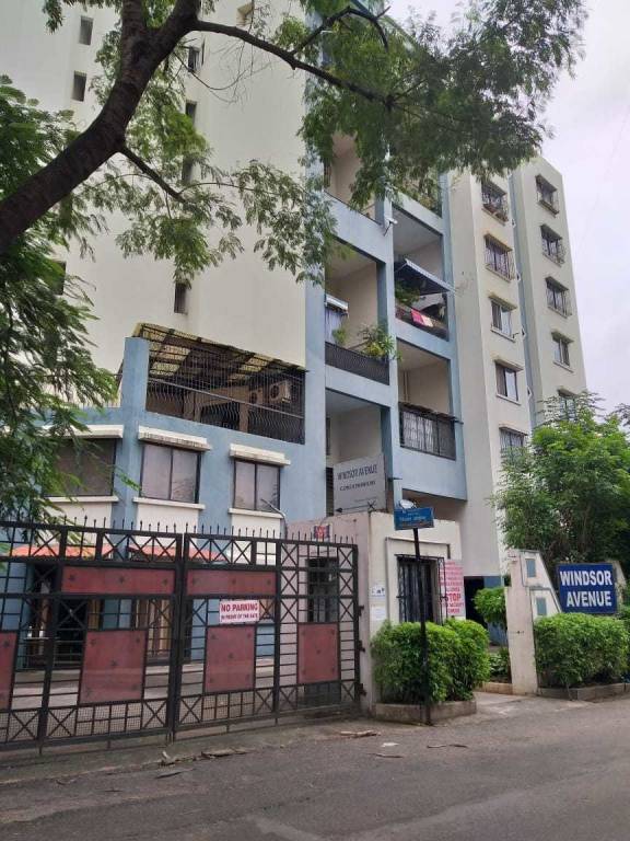 windsor avenue Elevation