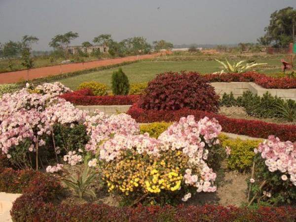 Images for Amenities of Capricorn Grove Images for Amenities of Capricorn Grove