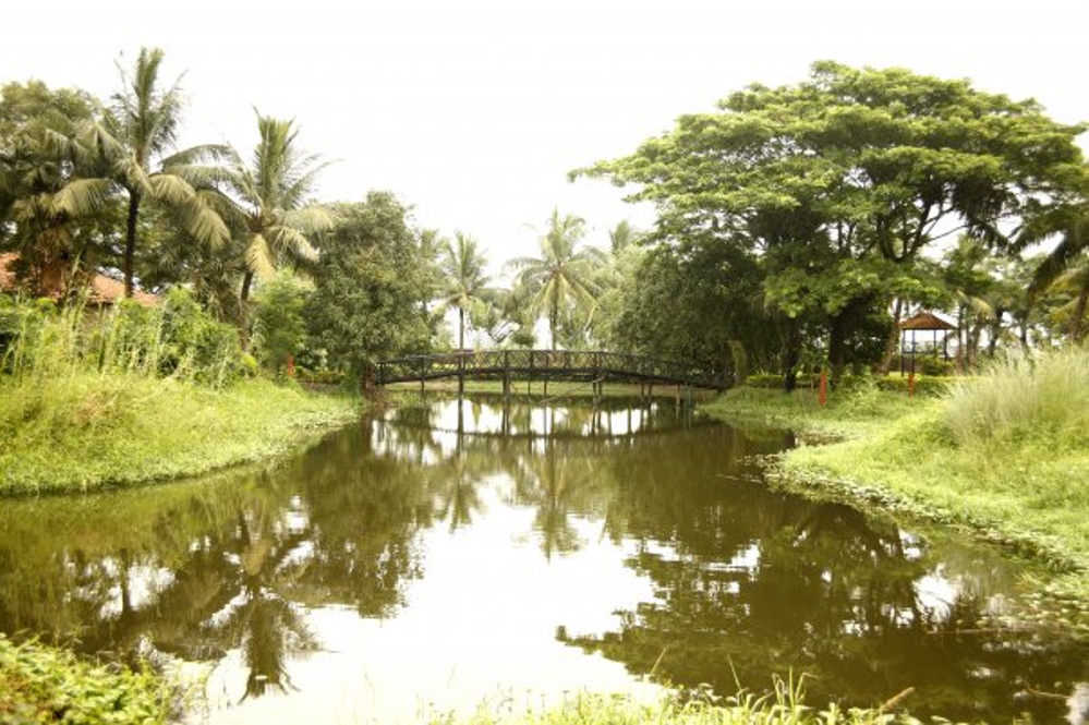 Images for Amenities of Capricorn Grove