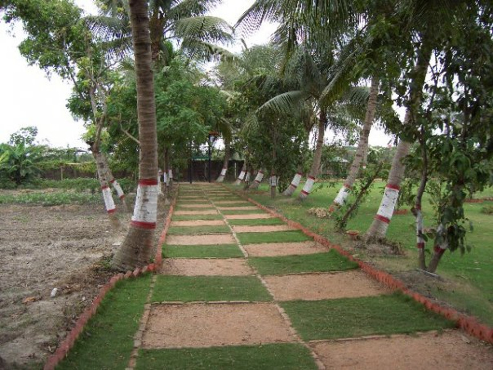 Images for Amenities of Capricorn Grove