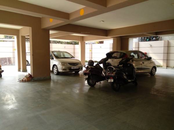 Car Parking habitat Car Parking