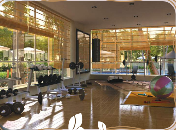  sanguine-estates Gymnasium