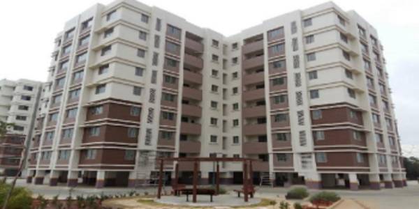  serene-urbana Elevation