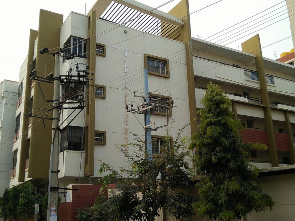 spring woods Elevation