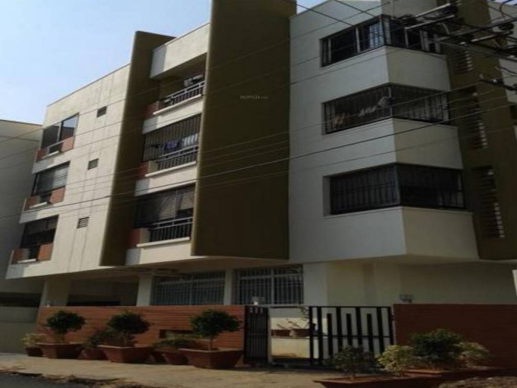 spring woods Elevation