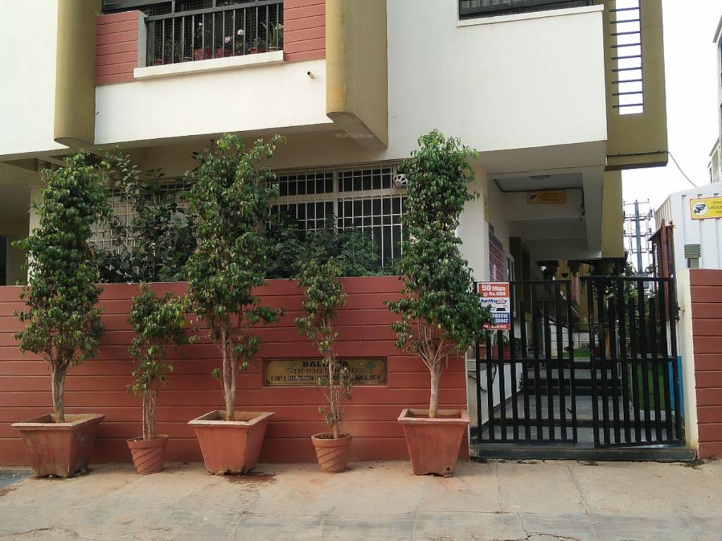 spring woods Elevation