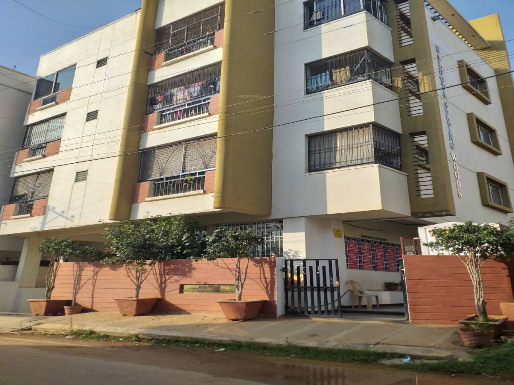 spring woods Elevation