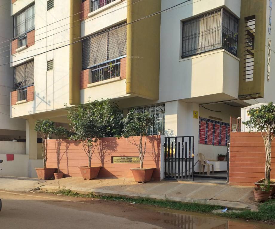 spring woods Elevation