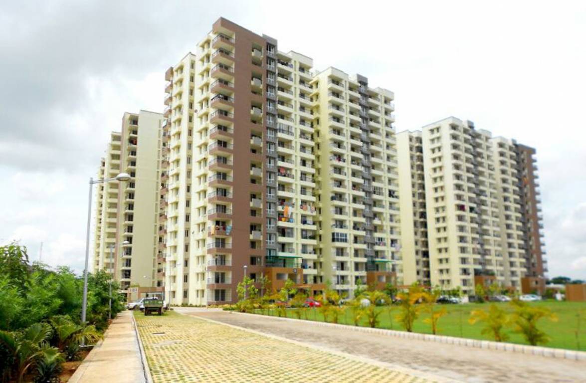 the cosmopolis Elevation