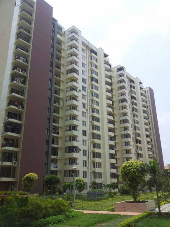 the cosmopolis Elevation