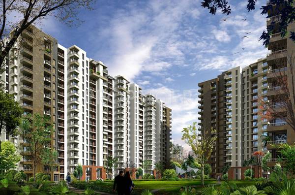 Elevation the-cosmopolis Elevation