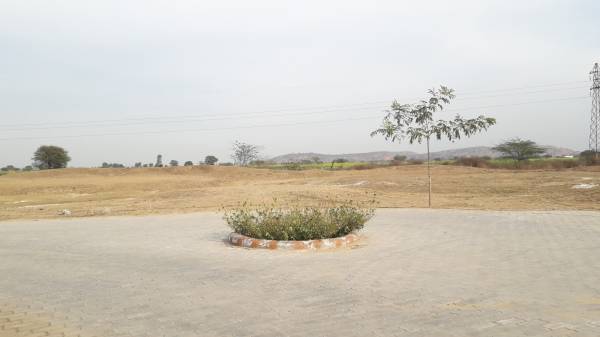 Images for mainOther